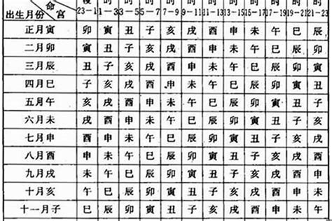 命宮年月日怎麼寫|八字中的命宮